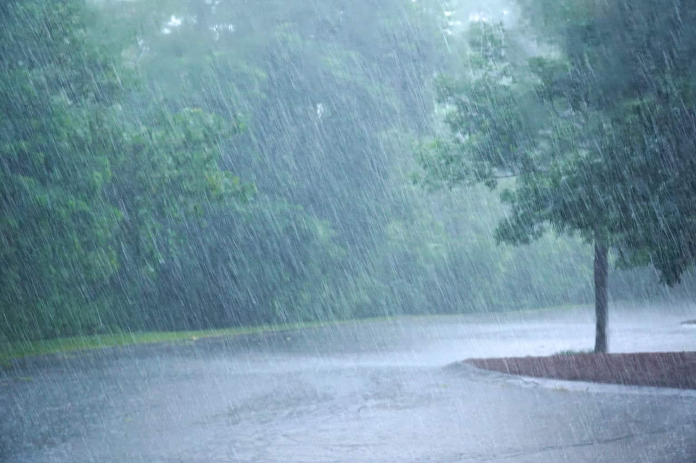 erimedia_ravk/dKzS2nkSR.jpeg